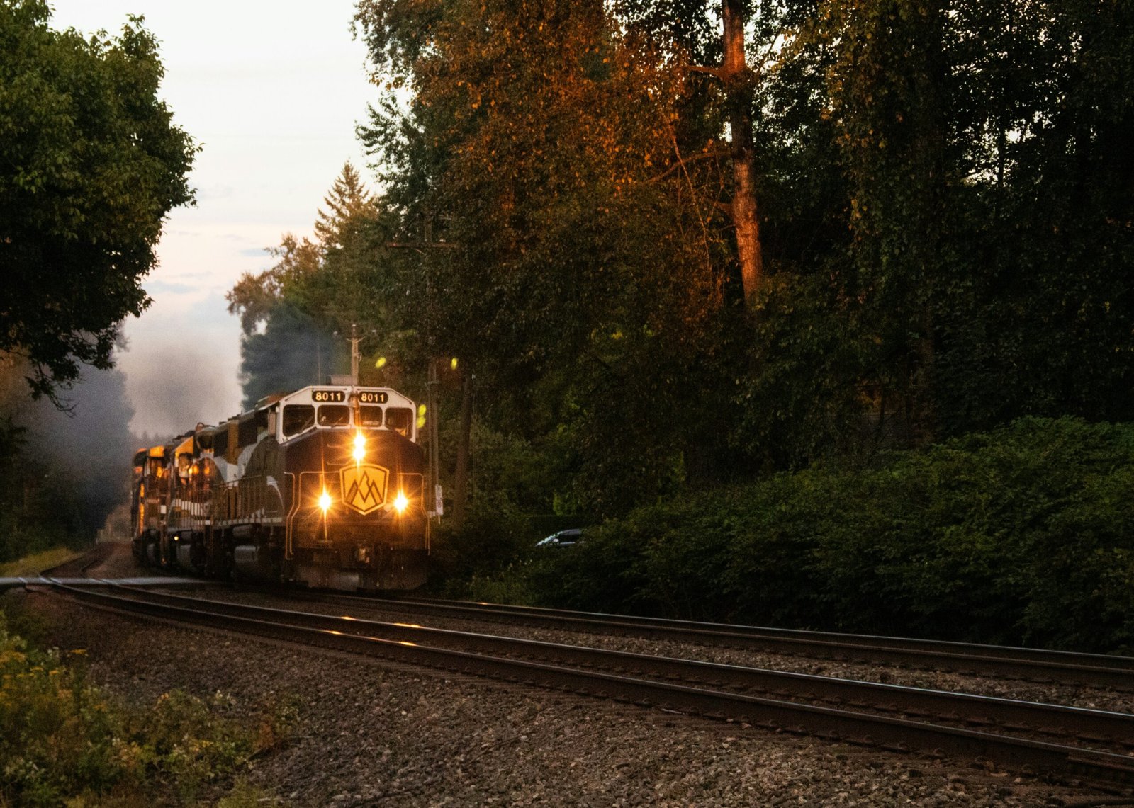 a train traveling down train tracks next to a forest